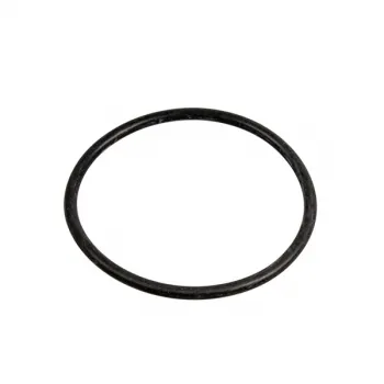 Прокладка O-Ring циркуляционного насоса для посудомоечных машин Electrolux 4055165270