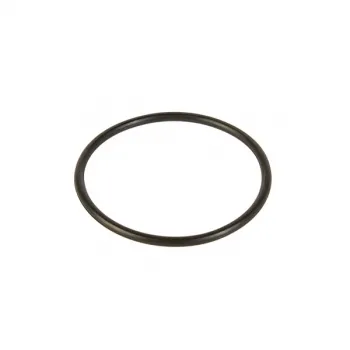 Прокладка O-Ring FI для моющих пылесосов Zelmer \ Bosch 919.0098 757495