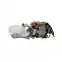 Двигатель для кухонного комбайна Philips 420306563100